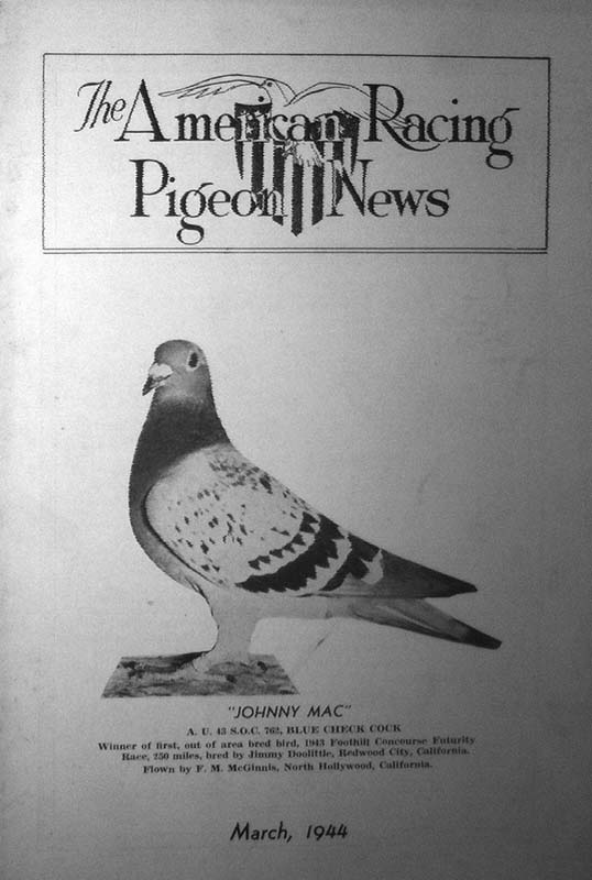 Frontbild mit Taube eines Brieftaubenmagazins
