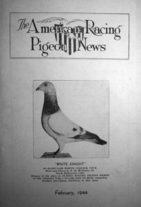 Frontbild mit Taube eines Brieftaubenmagazins