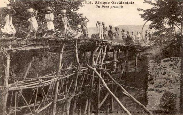 sw Foto-Postkarte: Brücke aus Holzstämmen