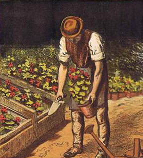 farbige Illustration: Gärtner mit Blumentopf und Schippe