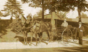 altes Foto: auf Weg unter Bäumen einfaches Kutschgefährt, auf Kutschbock sitzender und daneben stehender Herr rauchend