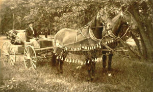 altes Foto: auf einer Wiese neben Bäumen stehende offene Kutsche nebst Kutscher, die zwei vorgespannten Pferde mit netzartigem Überwurf mit Fransen