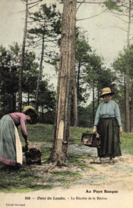 koloriertes Foto: zwei Pechlerinnen im Wald bei der Harzernte