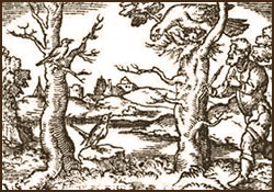 Holzstich: hinter Baum lauernder ein Vogelfänger mit Leimrute