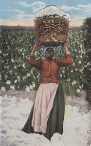 AK: Arbeiterin trägt geerntete Baumwolle in einem Korb auf ihrer Schulter