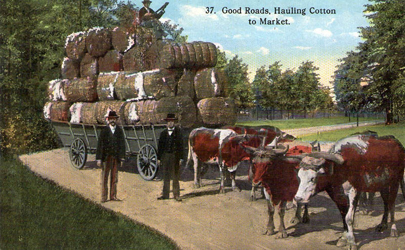 Baumwolle, Transport, Ochsenkarren