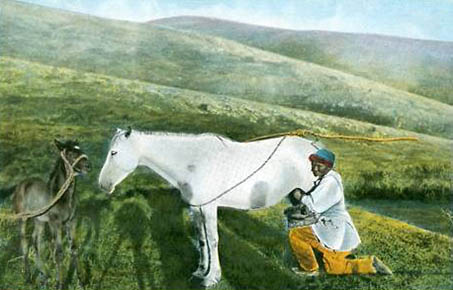 altes Foto: Russe melkt eine weiße Stute in einer bergigen Landschaft