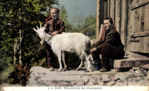 altes Foto: Frau melkt eine weiße Ziege