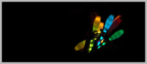 Farbfoto: Dunkelheit: Artist hält leuchtende Jonglierkeulen in der Hand