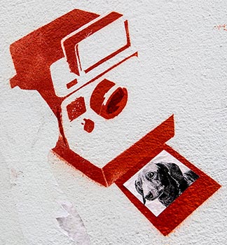 Polaroidkamera, Kamera, Fotograf, Foto, Streetart