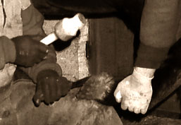 s/w Foto: Hufschmied und Assistent beim Kürzen des Hufes mit der Hauklinge