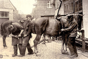 sw-Foto: Hufschmied und Gehilfe beschlagen auf der Kopfstein gepflasterten Dorfstrasse ein Pferd während Bauer dieses am Zaumzeug festhält