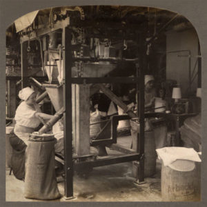 s/w Foto: Zuckerhut-Abfüllanlage in einer Raffinerie, in der Frauen beschäftigt sind