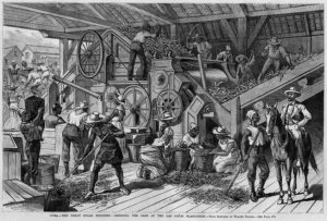 sw-Zeichnung; viele Arbeiter im Inneren einer Zuckermühle, Aufseher mit Pferd