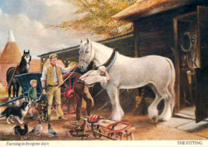 farbige Abbildung: Sattler passt dem Pferd das Zaumzeug an