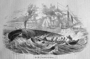 alter Stich: Wal taucht im Meer auf, drumherum Boote und Schiffe