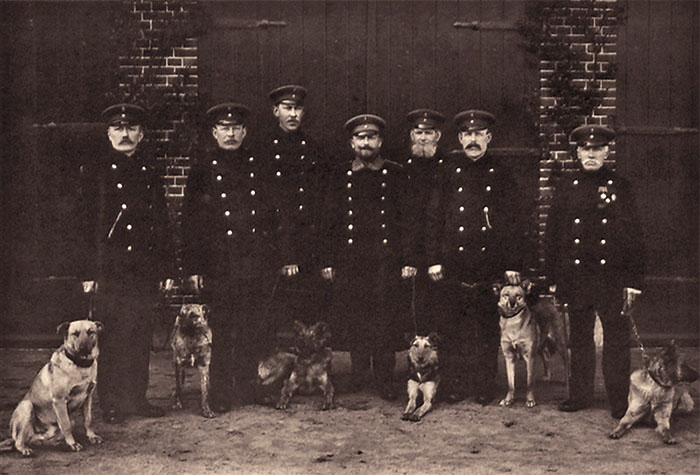 s/w Gruppenfoto: sieben Nachtwächter in Uniform mit Hunden
