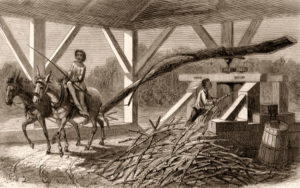 Arbeit in der Zuckerrohrmühle