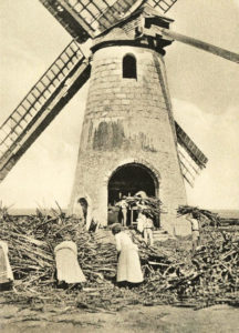 sw-Foto: Frauen und Männer tragen Zuckerrohrbündel in eine Windmühle