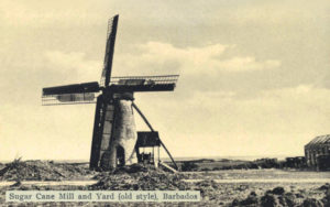 sw-Foto: Zuckerrohr-Windmühle neben Gehöft