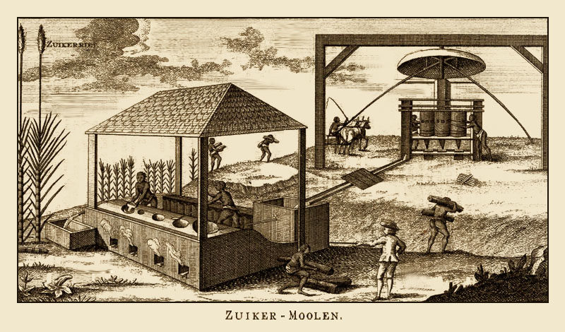 sw-Stich: rechts auf Hügel von Pferden betriebene Zuckermühle mit Rohrverbindung zur Siederei links unten