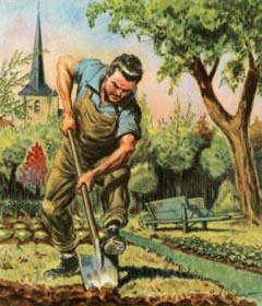 farbige Abbildung: Gärtner beim Umgraben