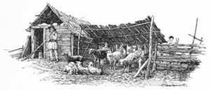 sw-illu: Schäfer mit Schafe bei einem Unterstand und einer Hütte