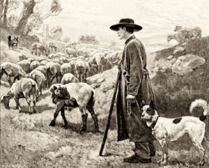 sw-Zeichnung: Schäfer mit seinem Hütehund beim Schafe hüten