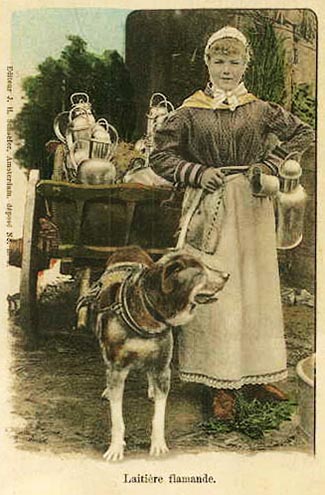 Milchfrau mit Hundekarren