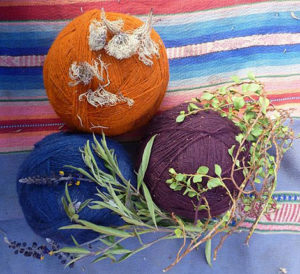 gefärbte Wolle mit zugehörigen Färberpflanzen