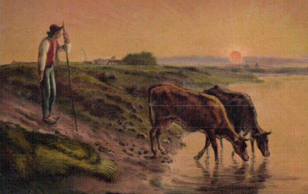 Kuhhirte mit zwei Kühen am Abend beim Wasser