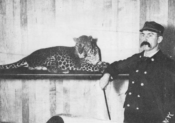 Tierwärter mit Leopard