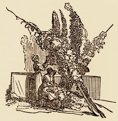 Holzstich: zwei Frauen und ein Mann ernten Hopfenranken - 1856