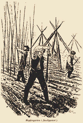 sw illu: Männer beim Errichten der Rankhilfen - 1820