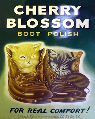Plakat: Schuhpaar mit zwei darin eingekuschelten Kätzchen