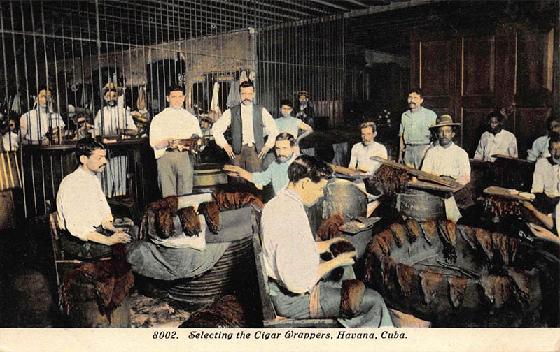 PK: Arbeiter in einer Zigarrenfabrik