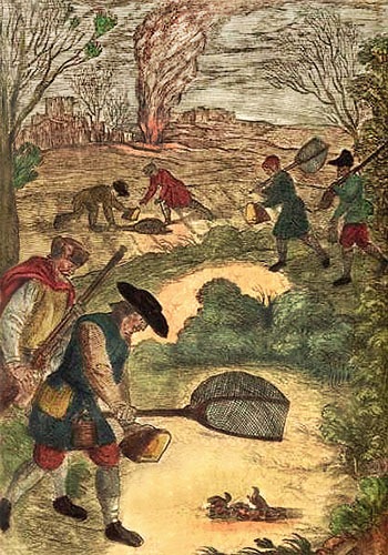 kolorierte Federzeichnung: viele Männer keschern Vögel am Boden - 1622