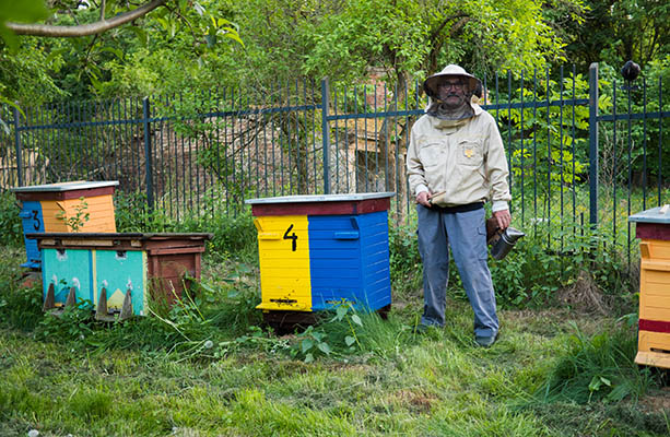 Farbfoto: Stanisław in Imkerkleidung neben den Bienenstöcken