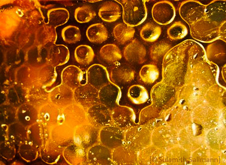 Farbfoto: goldgelber Honig auf Waben in Nahaufnahme