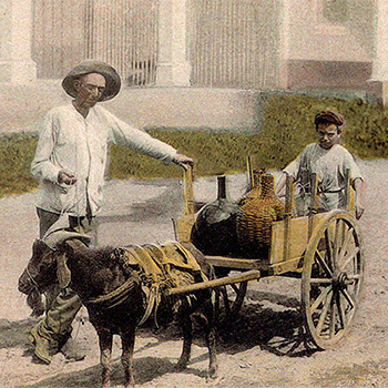 koloriertes Foto: Rumhändler mit Ziege vor Zweiradkarren