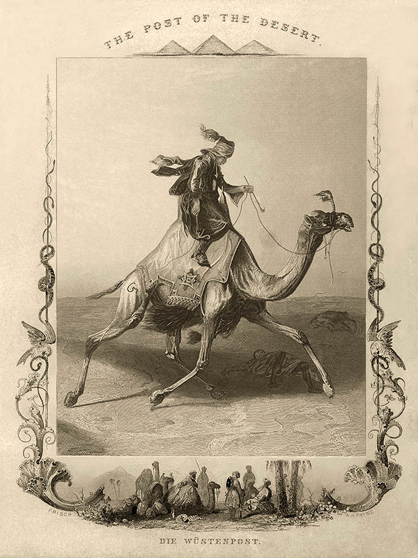 Stahlstich: Bote durchquert Wüste auf Dromedar reitend - 1840