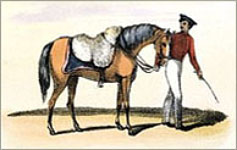 kl. kolorierter Stich: Händler führt mit wolle beladenes Pferd am Zaum