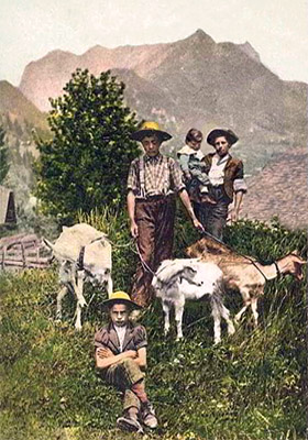 kolorierte Fotopostkarte: junge Ziegenhirten mit Ziegen an der Leine - 1907, Schweiz