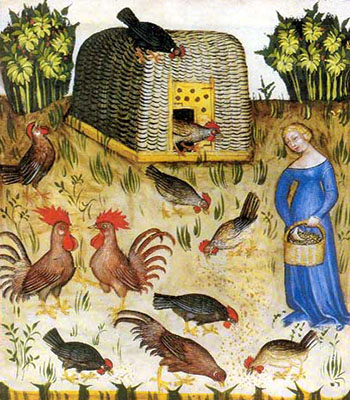 Buchmalerei: Hühnerverschlag aus Flechtwerk und Hühnervolk auf Wiese - 1390