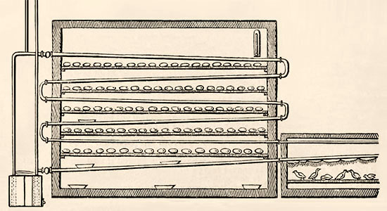 schem. Darstellung: Geflügel-Brutvorrichtung - 1831