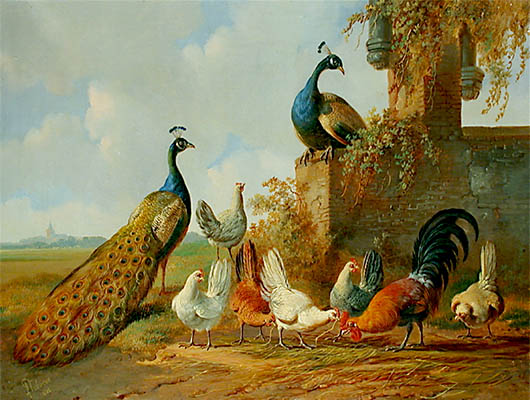 Gemälde: Pfauenpaar und Hühner in Park - 1882