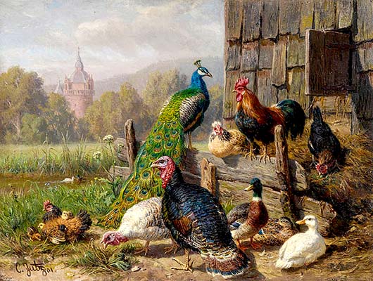 Gemälde: Hühner, Gänse, Truthähne und Pfau vor Holzverschlag - 1901