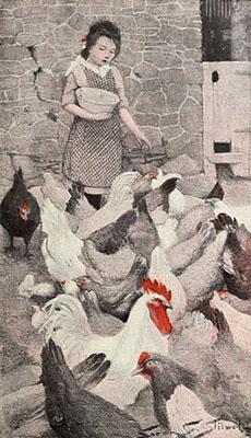 teilkolorierte Litho: Hühnerfütterung - 1901, USA