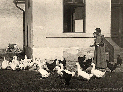 sw Foto: 2 Frauen zw. Gänsen und Hühnern - 1912, Ungarn