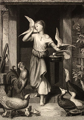 Stahlstich: junge Frau versorgt verschiedenes Geflügel ~1850
